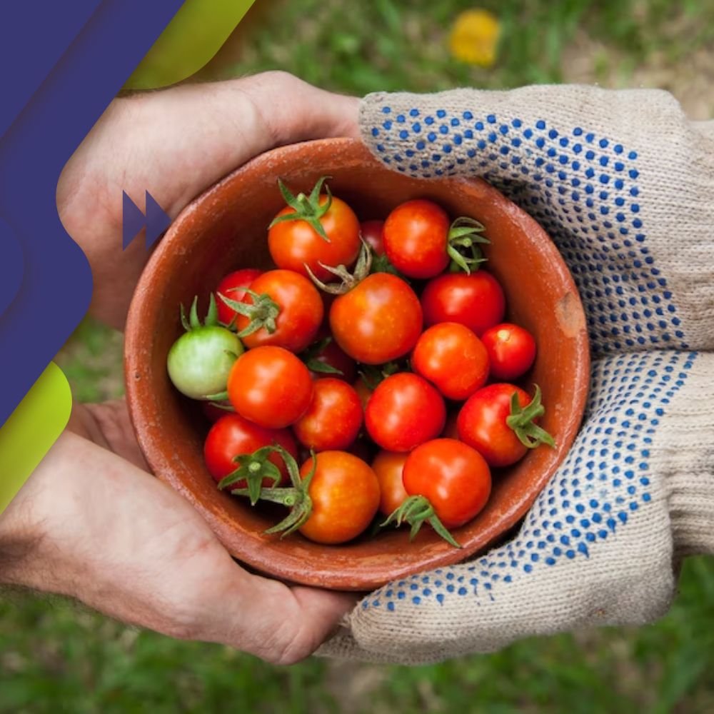 O caminho do ciclo da excelência no atendimento